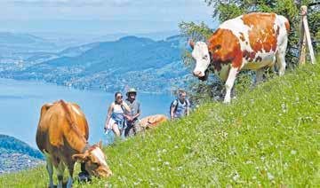 Grindelwald First – Top of Adventure-2