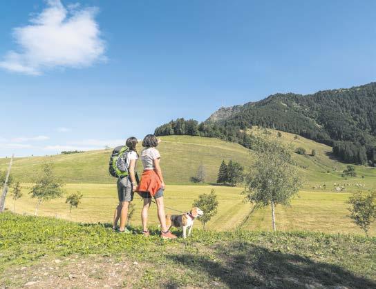 Die Rigi: Wer sie kennt, liebt sie-7