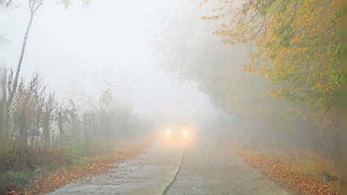 Nebel: Welches Auto-Licht bei schlechter Sicht richtig ist