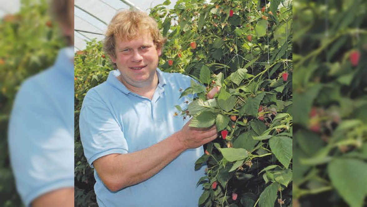 Hof Lauenroth aus Ilsede bietet wieder Erdbeeren