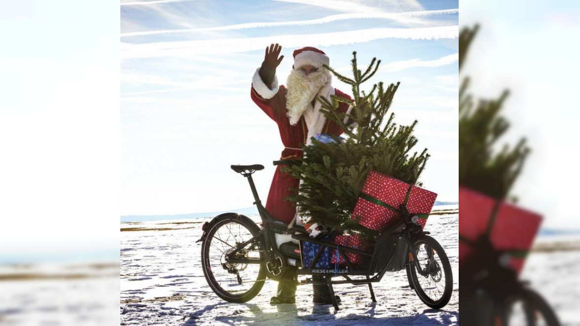 Klingeling – die Tanne rollt! Tipps für den Weihnachtsbaum-Transport per Rad