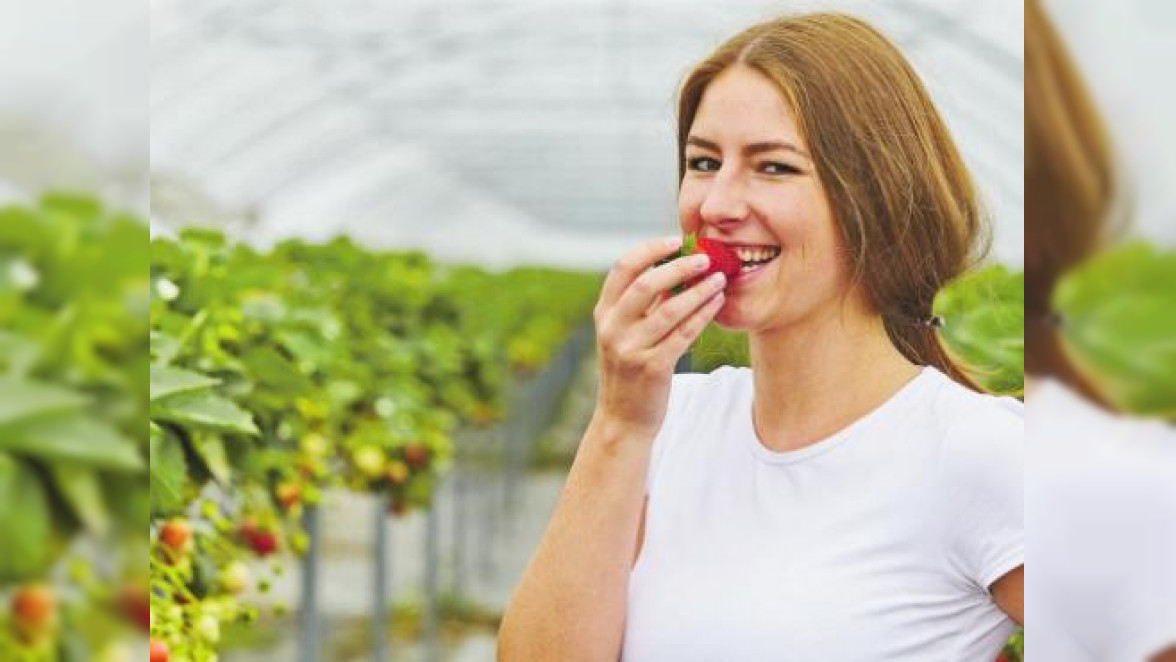 Erdbeer-Zeit 2018: Sich schön essen mit Erdbeeren