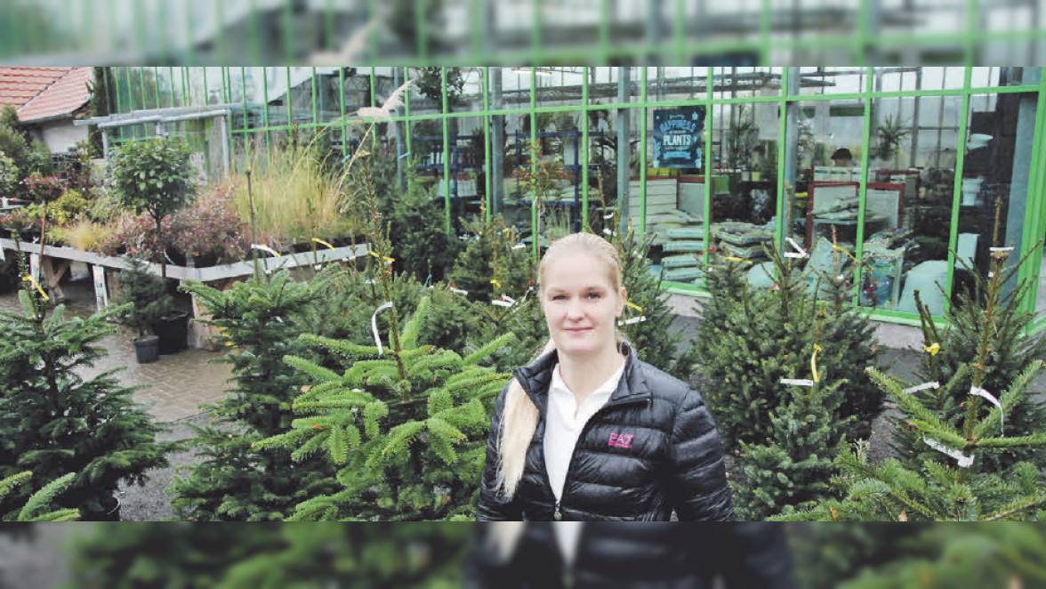 Rubbellose mit Vorteilspreisen vom Pflanzenhof Kola für Weihnachtsbäume in Telgte 