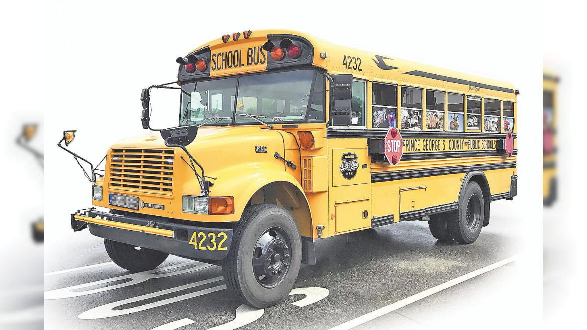 Magic Bus: Ein echter Hingucker