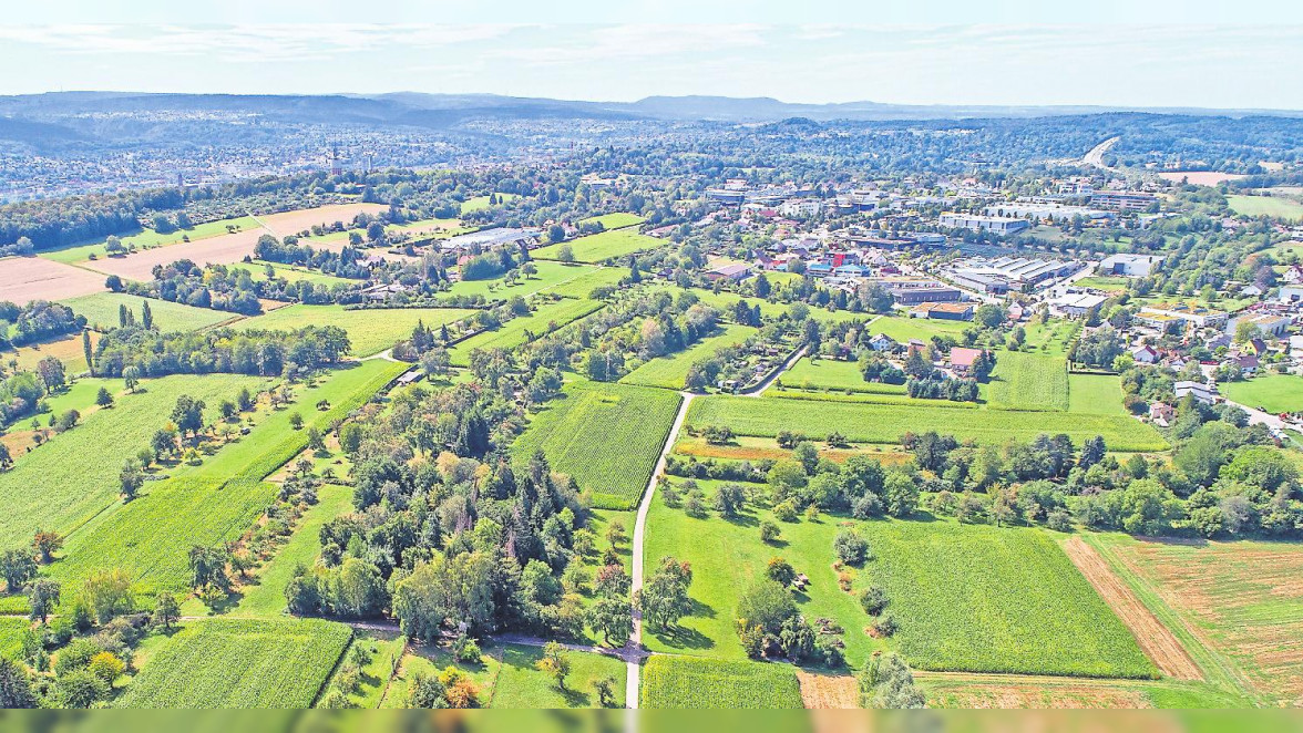 (Fast) Alles im grünen Bereich