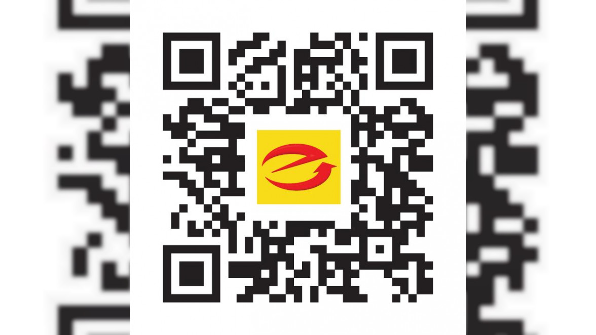 Hier sprechen die Profis