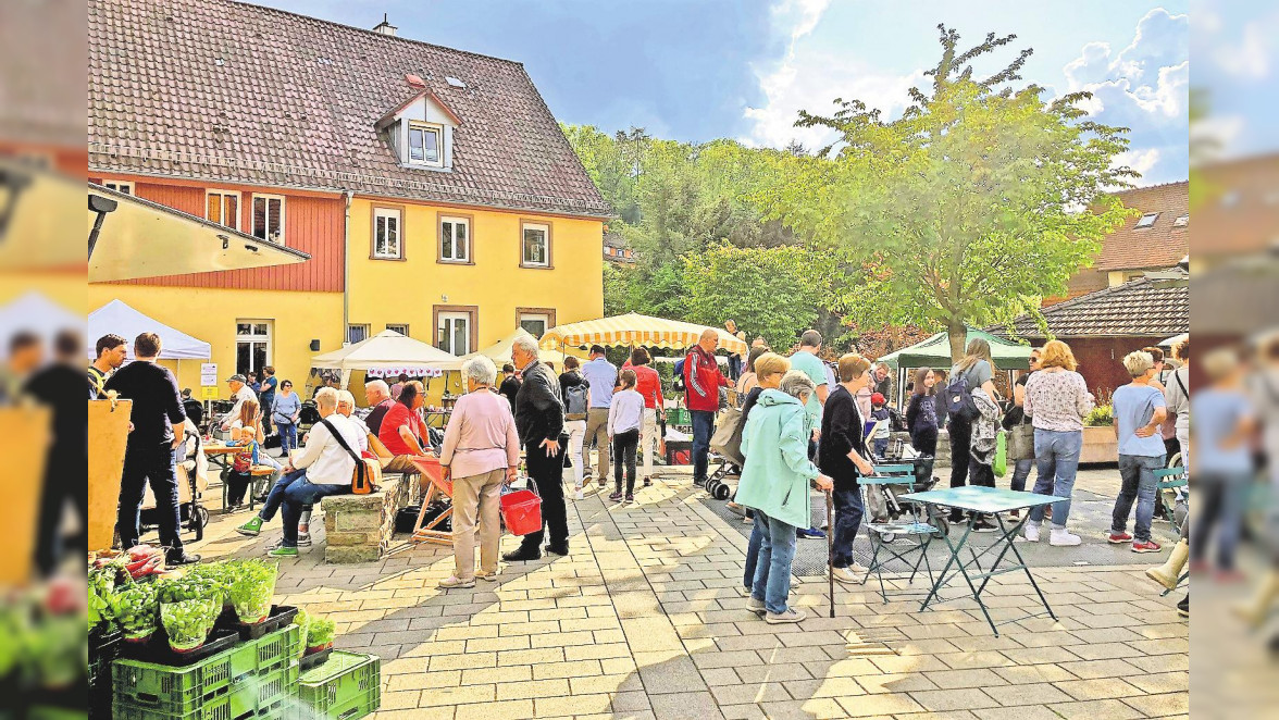 Eine Gemeinde in Hochform