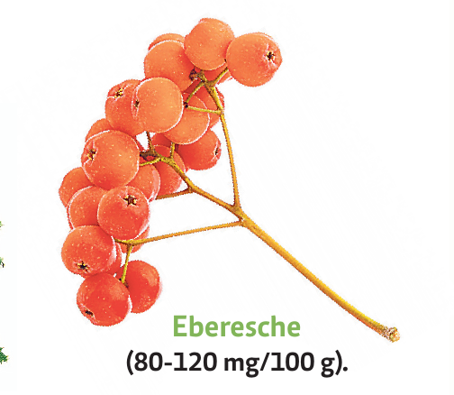 Trends und Typen in Grün-4