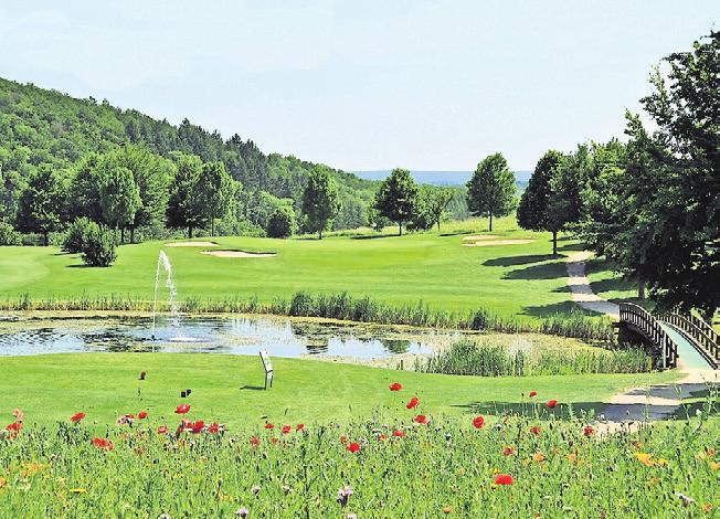 Frühlingsbeginn auf der Golfanlage Johannesthal in Königsbach-Stein