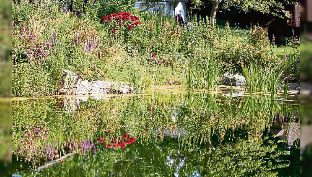 Wasserspiel...