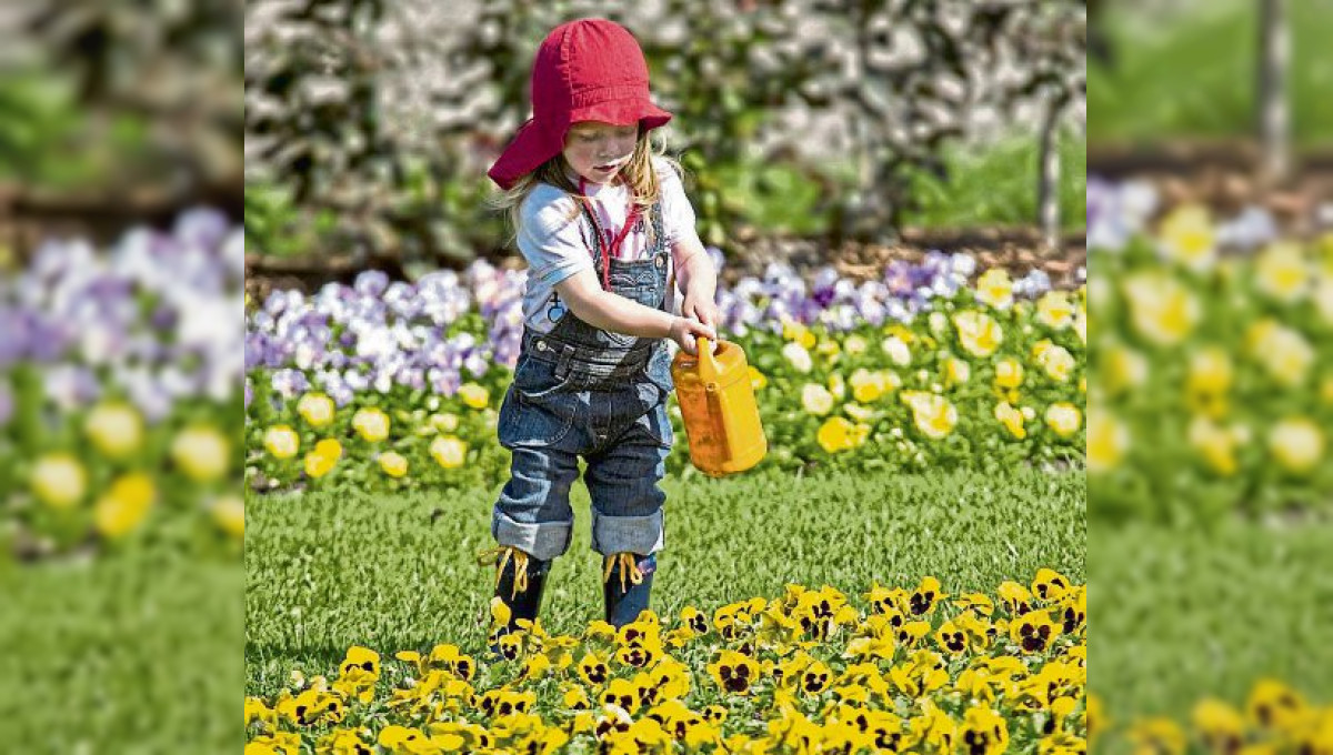 Gärtnerischer Fachhandel: Primeln & Co - Frühjahrsblüher bringen Farbe in den Garten