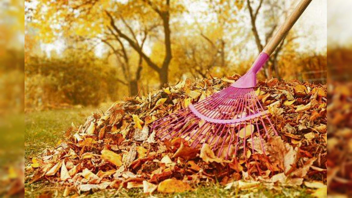 Herbst – Mehr Grün- und Bioabfälle zu entsorgen