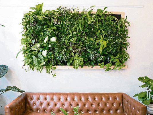 Vertical Gardening – Mächtig viel Natur Indoor-2