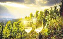Jahrgangspräsentation & Weinbergswanderung-3