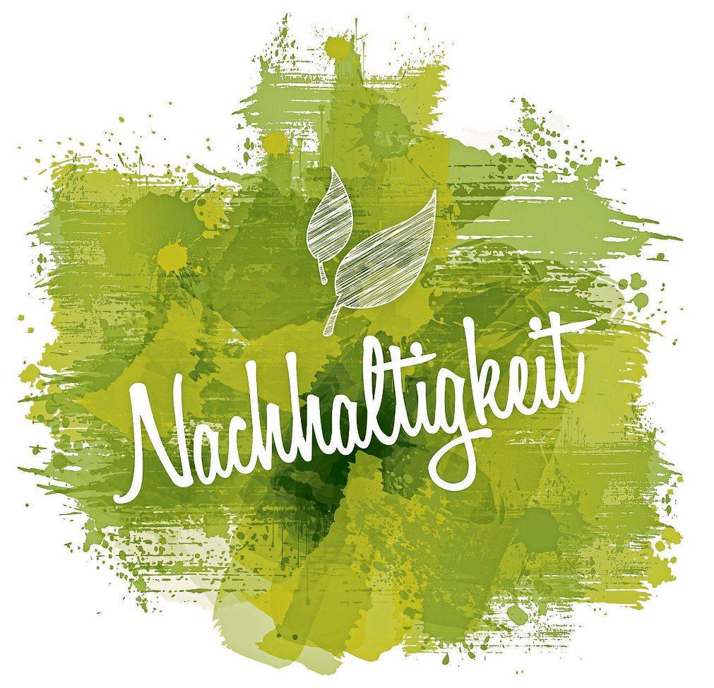 Nachhaltigkeit im Fokus des deutschen Handwerks-2
