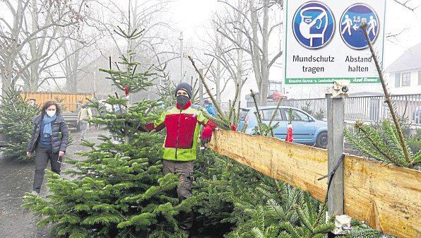 Weihnachtsbaumaktion kam gut an