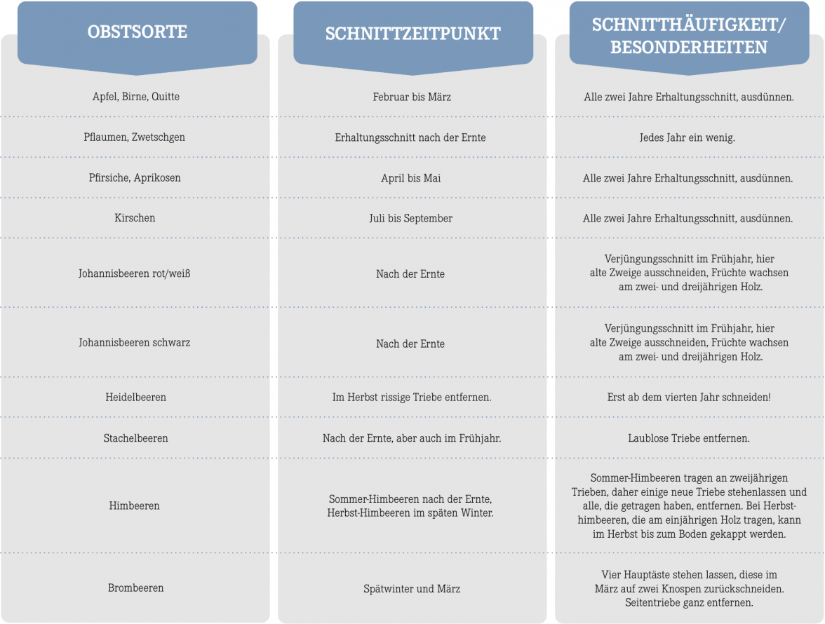 Einmal schneiden und legen bitte!-3