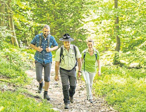 Der Urwald von Morgen - Erleben im Nationalpark-2