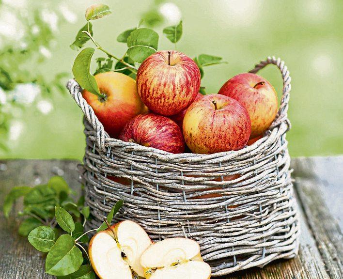 Was steckt hinter leckerMYK-3