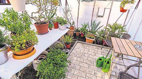 Großreinemachen im Garten-2