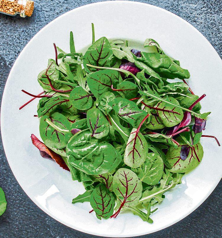 Sommer, Sonne, Salat