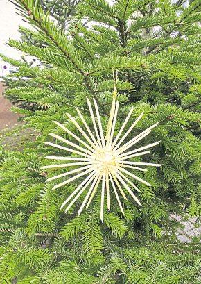 Wunschbaum-Geschenke sollen Freude bringen