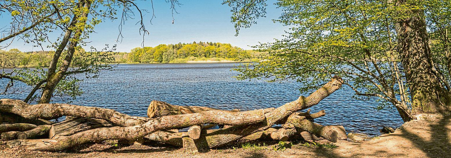 (Mindestens) einen Ausflug wert: die Westerwälder Seen-2