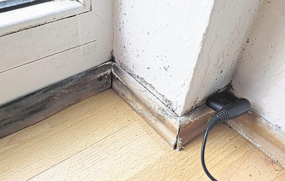 Bauschäden im Fokus