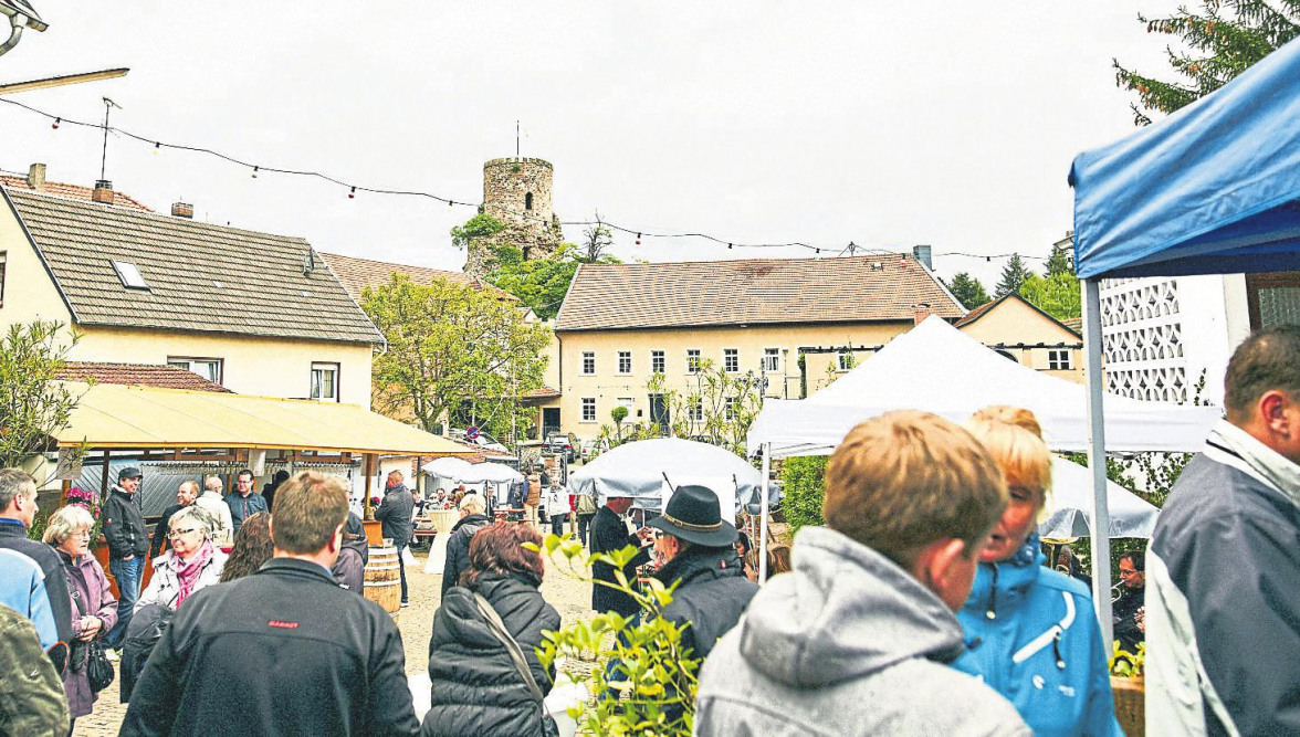 Rund um die Burg Layen – Von Hof zu Hof genießen