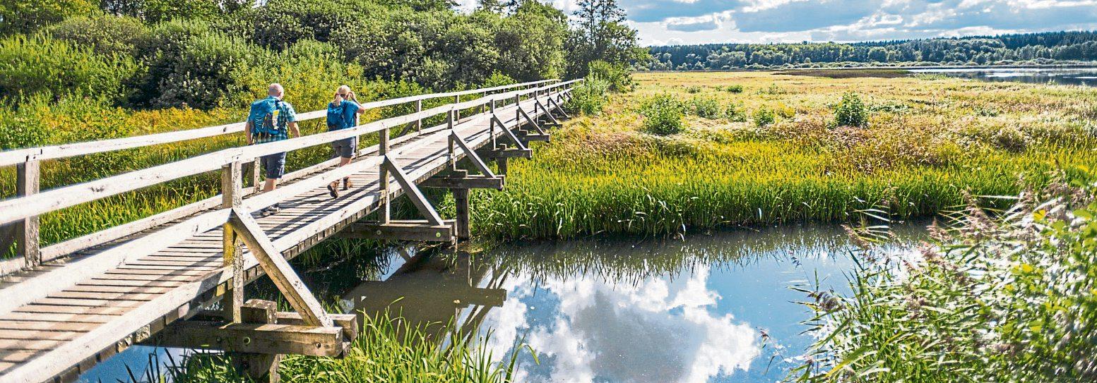 (Mindestens) einen Ausflug wert: die Westerwälder Seen