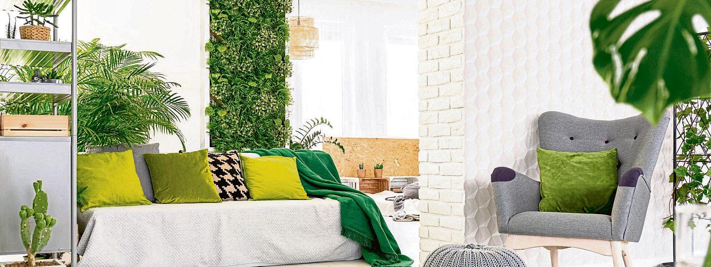 Vertical Gardening – Mächtig viel Natur Indoor