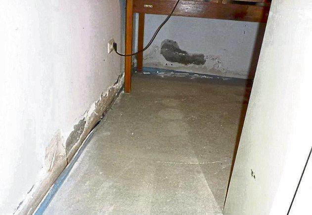 Bauschäden im Fokus