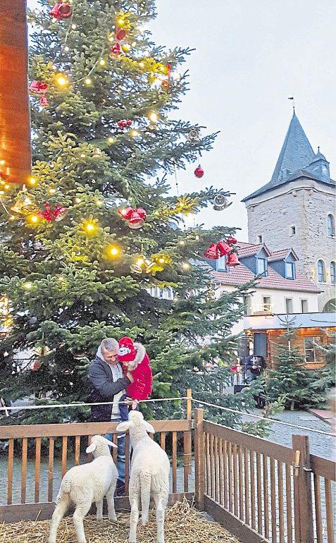 Es gibt keinen Weihnachtsmarkt in Meisenheim, aber einen langen Samstag am 5. Dezember bis 18 Uhr-7