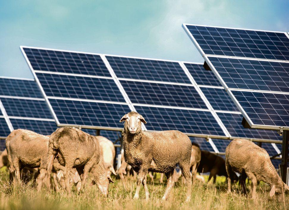 Mit Deutschlands Solarpionier in Projekte der Zukunft investieren-9