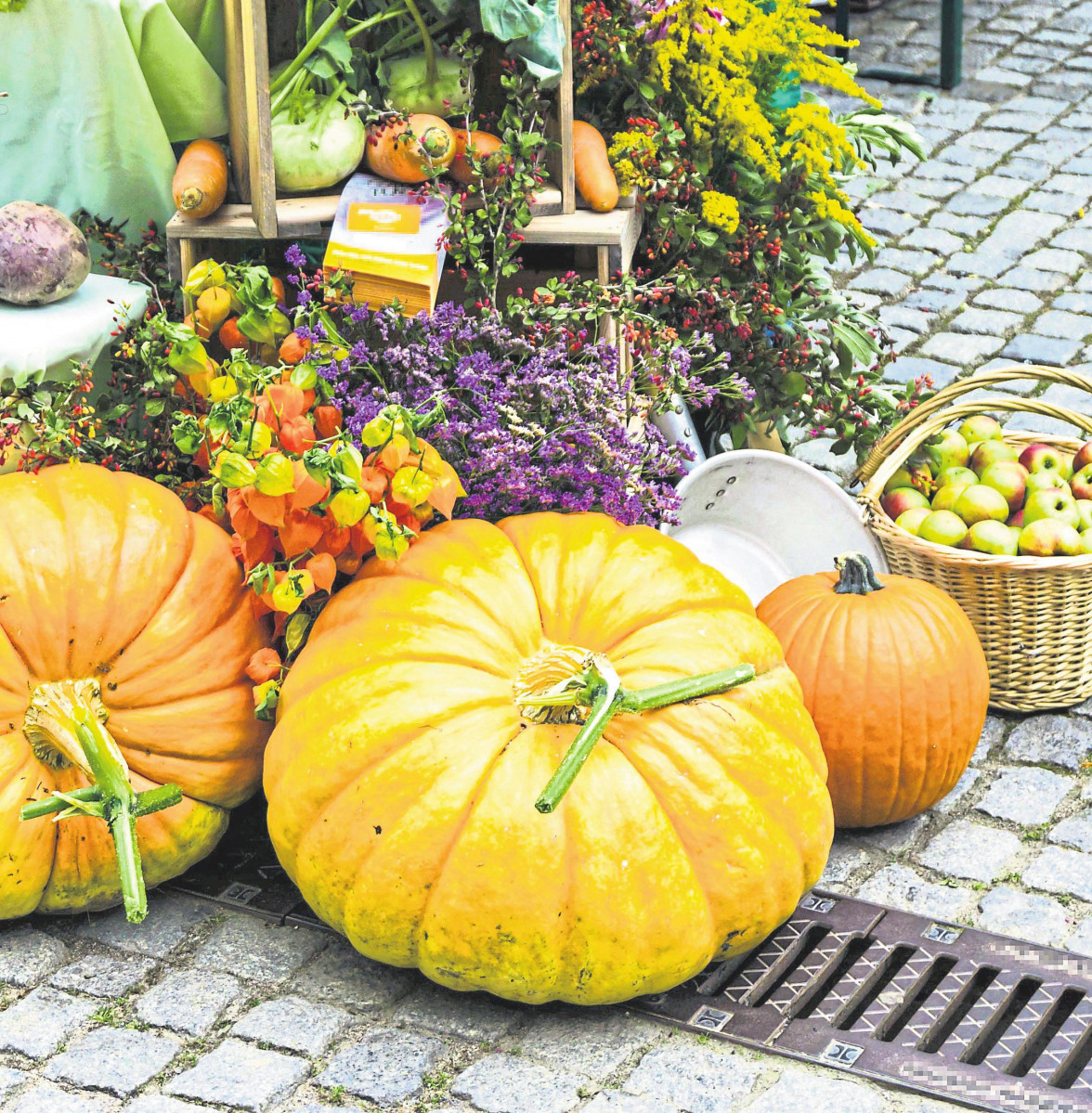 Grußwort zum Herbstfest