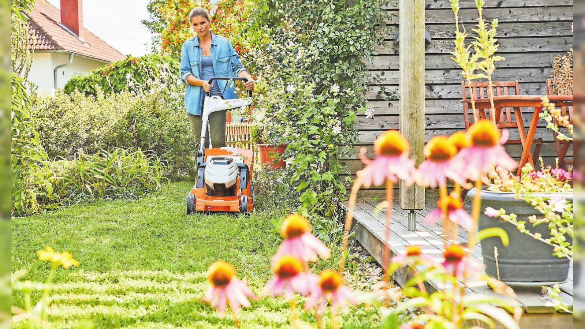 Mit dem Grün fit durch den Sommer