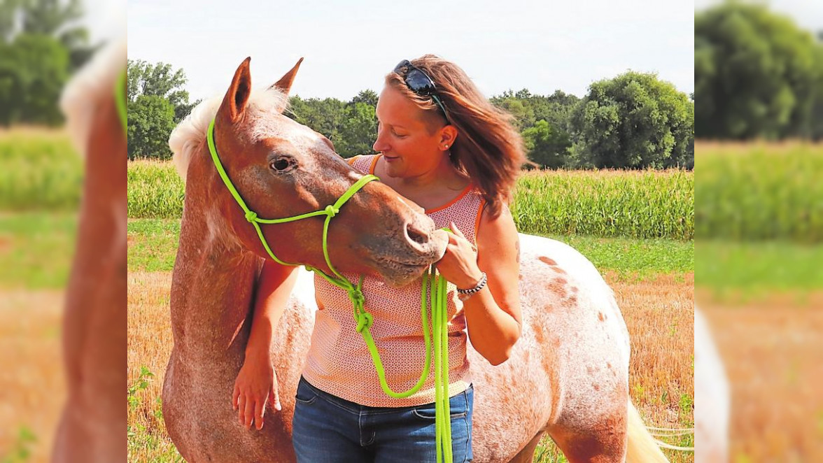 Mit Ponys in den Ordenswald