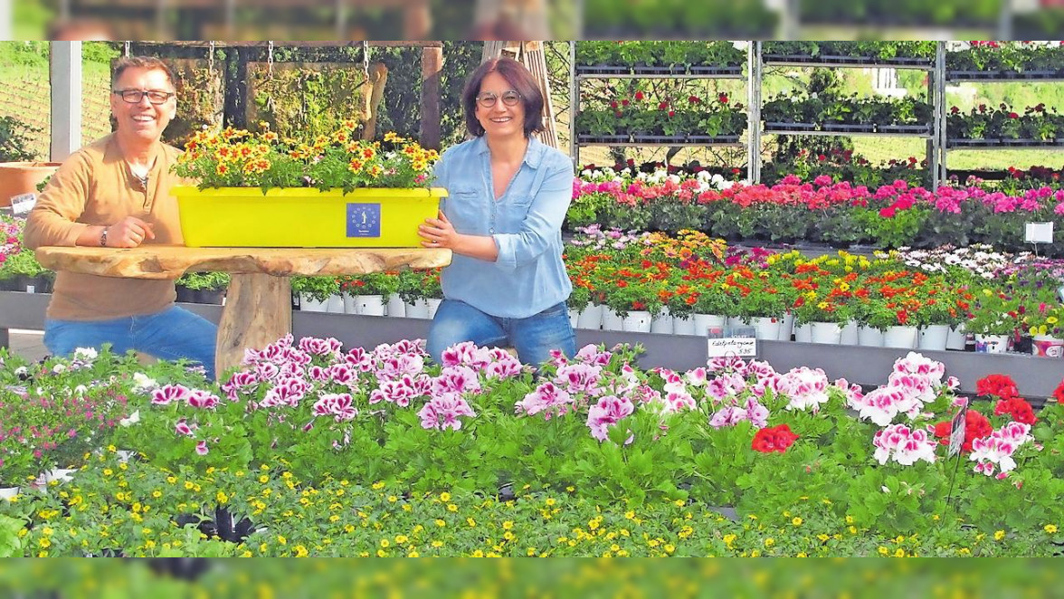 Gärtnern daheim treibt strahlende Blüten