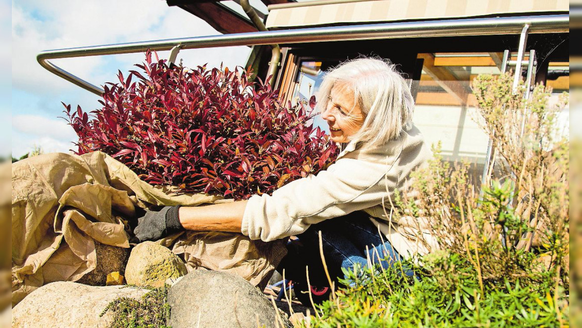 Den Garten vor Frühlingsgefühlen schützen