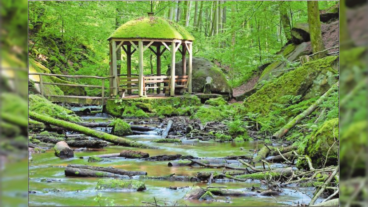 Wasser, Wipfelpfad und mehr: Ausflugsziele in der Pfalz