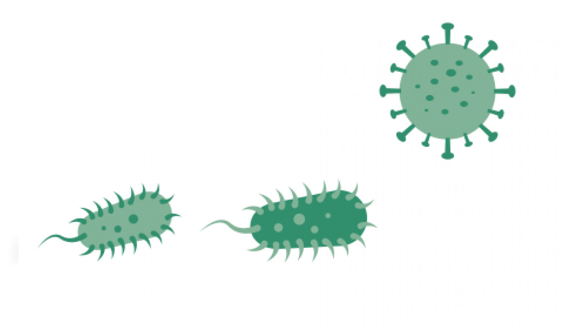 Viren und Bakterien - die feinen Unterschiede