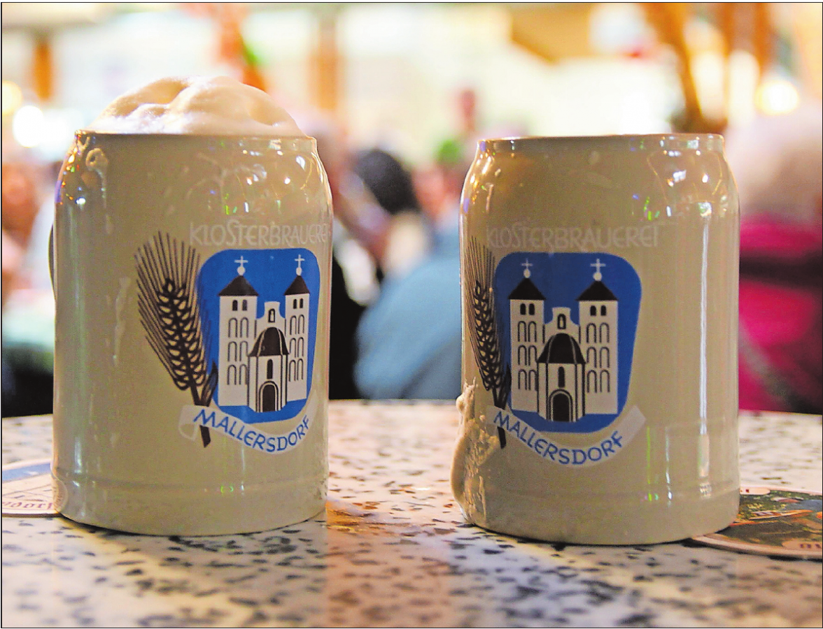 Bierfest in Waldsee-2