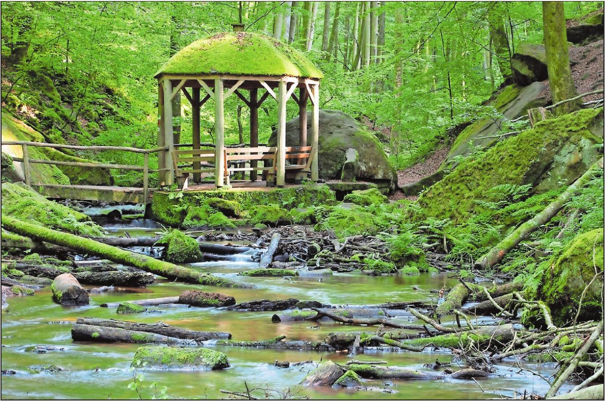 Wasser, Wipfelpfad und mehr: Ausflugsziele in der Pfalz-2