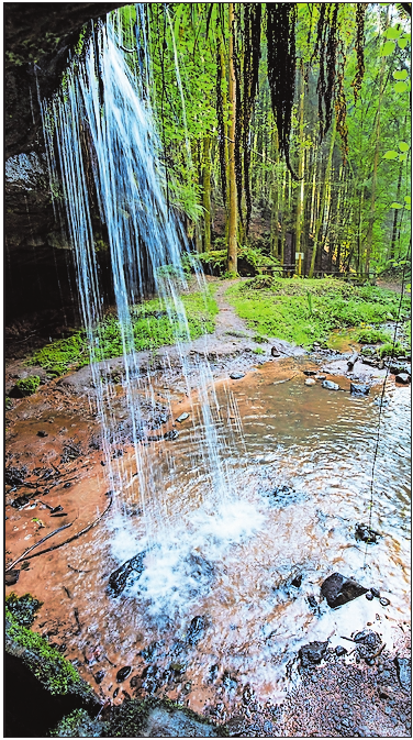 Wasser, Wipfelpfad und mehr: Ausflugsziele in der Pfalz-3