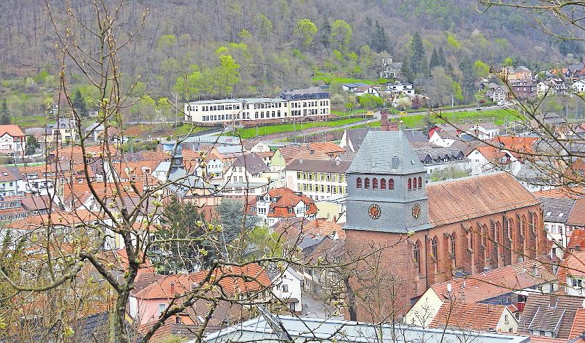 Obstwiesen locken-2