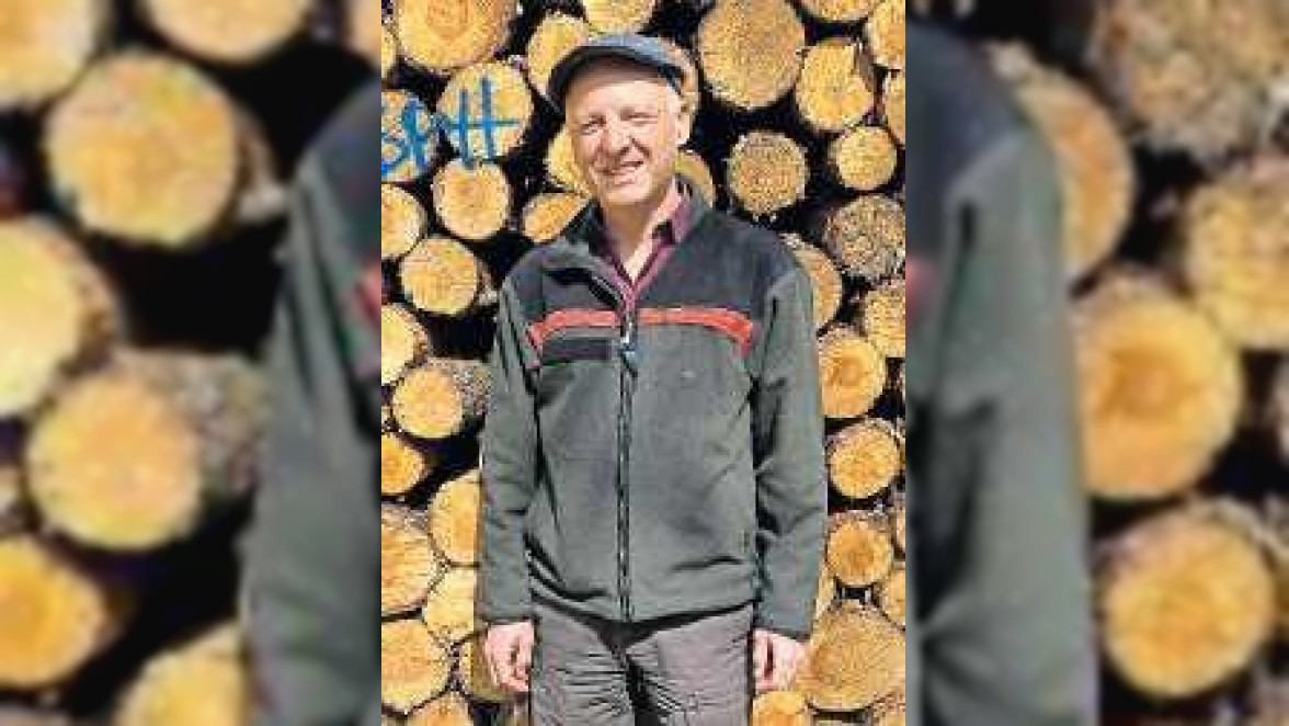 »Man spricht von einem Waldsterben 2.0«