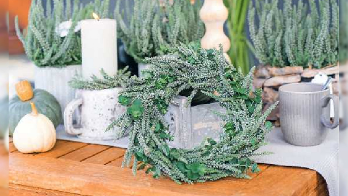 Skandinavisches Flair in Haus und Garten
