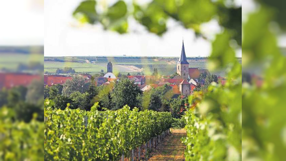 Feierfreudiges Freinsheim: Wein, Historie und vieles mehr 