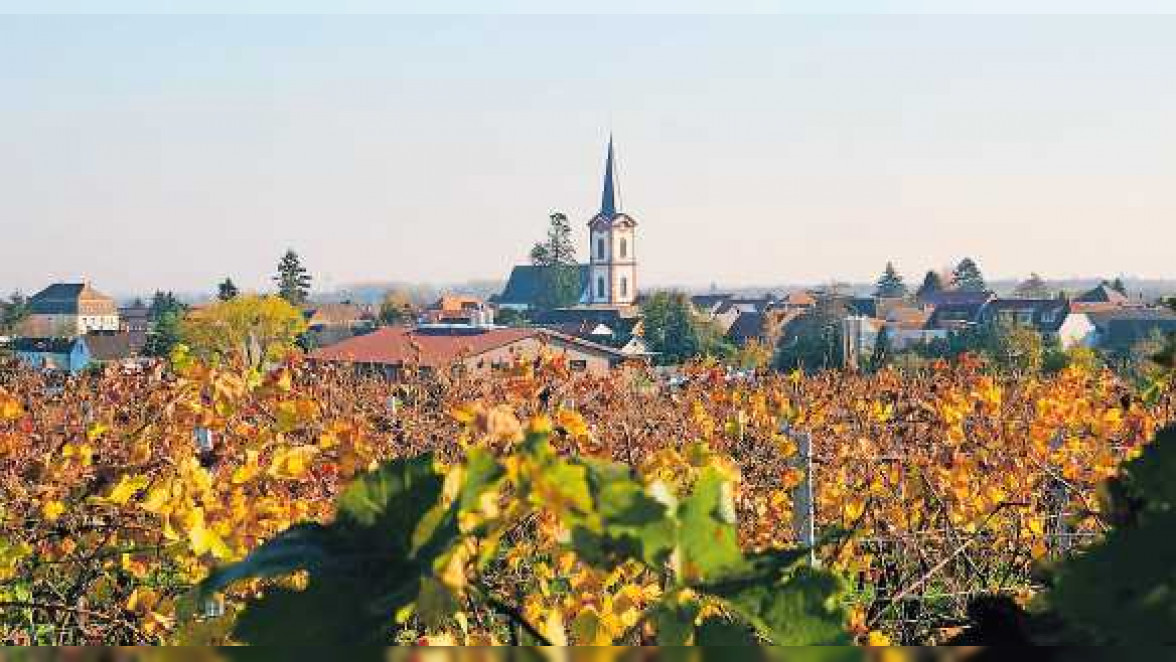 Wein, Musik und Geselligkeit rund ums Rathaus