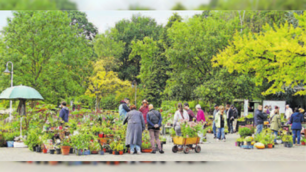 Pflanzenflohmärkte DeutschFranzösischer Garten/Saarbrücken